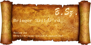 Brieger Szilárd névjegykártya